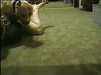 Married slut getting her wet pussy screwed by an enormous dog in this recent zoo sex flick