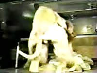 Pleasing homemade bestiality fucking video featuring a naughty MILF banged deeply by K9