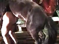 Clever housewife talked her man into recording as she engaged in beast fucking with horse