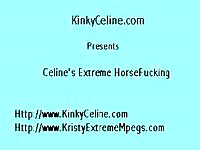 Filthy college slut in sexy black nylons gets banged by a horse in this animal fuck movie
