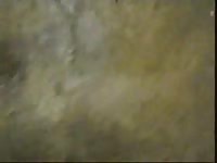 Closeup amateur vid captured by a pet owner as one of his dogs developed a raging hardon