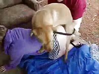 Wanting girlfriend finally gets to explore bestiality sex as she gets screwed by endowed K9