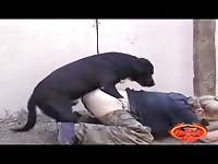 Brilliant BDSM fucking vid featuring fresh-faced coed pummeled by a dog while restrained