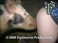 Filthy dude bends over with his pants off and welcomes a rare anal fucking from a huge hog