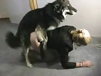 Excited husband records while his slutty partner sucks his dick and gets fucked by their dog