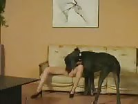 Kinky married hoe spread eagle as she enjoys oral sex from an animal in this dirty home movie