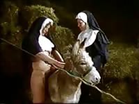Kinky costume fetish video featuring Nuns exposing and teasing themselves with a mule
