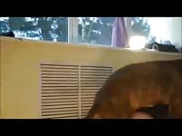 Seductive homemade beast banging video features housewife getting screwed by strong K9