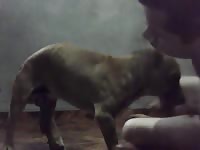 Horny guy lays on the floor with his legs spread and invites a tiny dog to fuck his asshole