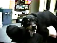 Plump trollop getting her dripping hole screwed by an endowed dog in this beast sex flick