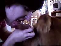 Cum hungry married whore shows off her dick blowing skills on a horse in this beast sex movie