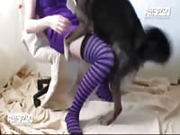 Art of Zoo - Fabulous young babe in purple thigh high stockings spreads for animal sex with her huge K9