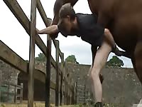 Petite guy stands up straight and takes an anal smashing from a horse in this bestiality movie