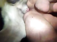 Well trimmed dude with nice sized balls enjoying a deep anal screwing from his horny K9 friend