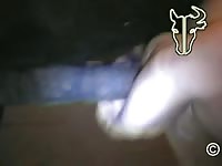Equitaurus Production - Beast movie features a wanting twink in the standing doggy position getting fucked by horse