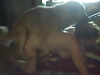 Large pure breasts swinging nicely as this married tramp gets screwed by an animal at home