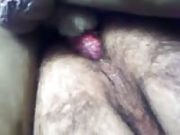 Middle-aged dude exposes his hairy ass for a deep anal plowing from mans best friend here