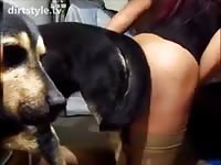 Slutty twink dressed in sex knee high boots and a schoolgirl skirt fucked by an animal