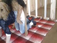 MILF wears her favorite crotchless jeans for an epic pussy pounding thanks to the family pet