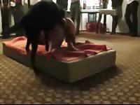 Group of men witness as a young college student gets mounted and screwed by an animal