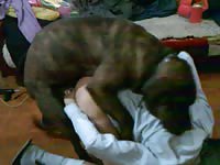 Cock deprived beautiful skinny teen getting fucked properly by a K9 in this beast sex flick