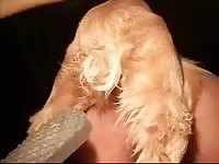 Dick wanting man needed cock so bad that he welcomed an anal pounding from his dog here