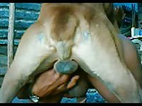 Dude exposes his shaved balls and asshole then welcomes a deep anal pegging with his dog