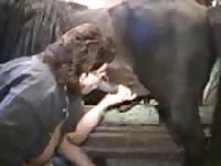 Older well-known MILF sucks horse dick before sliding the big shaft in her moist pussy