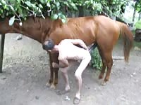 Dick starved balding twink getting hammered well by an excited horse in this beast sex movie