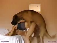 Coed hussy getting her sweet fuck hole humped by an endowed K9 in this beast sex video