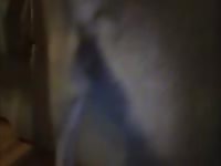 Hot married hoe shows addiction to dick as she's screwed by dog in this beast sex video