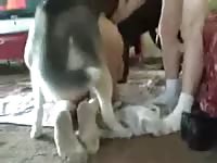 Exotic fresh-faced teenage skank getting fucked strong by a K9 in this steamy beast sex scene