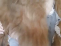 Enticing teenage newcomer to bestiality gets her moist cunt knotted in by worked up dog