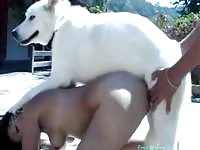 Always horny rookies getting fucked good in this xxx bestiality compilation movie with K9s