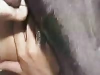 Never before seen filthy once shy coed engaging in bestiality with a K9 in this fantastic video