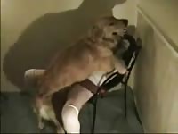 Teen slut getting her snug fuck hole screwed by an enormous dog in this bestiality movie