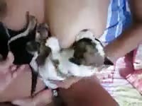 Bodacious lactating amateur webcam model lets her two young puppies suck her juicy tits