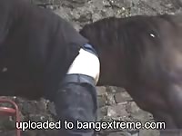 Hardworking ranch hand slides his jeans to his thighs and welcomes an anal drilling from horse