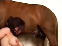 Horse Story DVD - College-aged trollop getting her moist hole screwed by a massive horse in this beast sex video