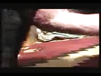 Sensational redhead hoe getting fucked by a k9 in this awesome home beast fetish movie