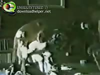 Classic animal hardcore sex footage featuring a sneaky wife getting screwed by an animal