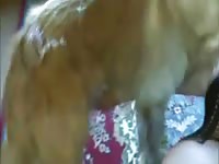 Chubby hussy getting her sweet hole humped by an endowed dog in this bestiality video