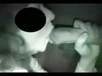 Married hoe shows off her cock sucking skills on a big horse in this beast fucking movie
