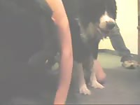 This awesome xxx fetish fucking footage features a pure-breasted teen blowing and fucking K9