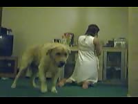 Cock needing cougar gets her pussy screwed by a dog in this thrilling animal fetish movie