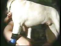 Excited babe happily remains still while her well-endowed pet knots up in her snug pussy