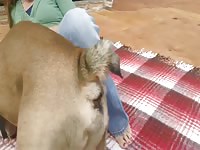 113 rusz russian bestiality 2018 zoo sex from moscow