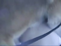 138 rusz russian bestiality 2018 zoo sex from moscow