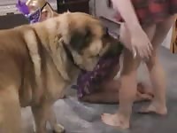 154 rusz russian bestiality 2018 zoo sex from moscow