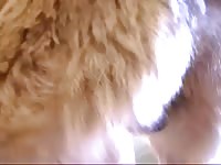 190 rusz russian bestiality 2018 zoo sex from moscow